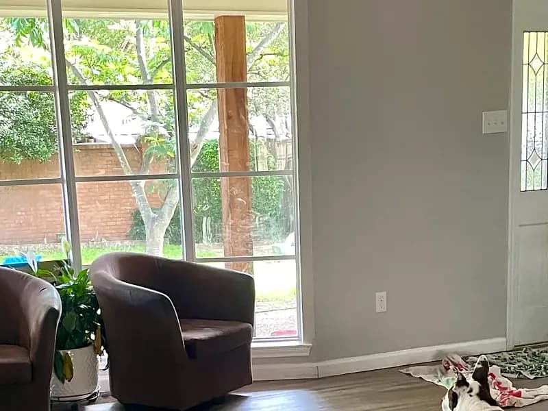 A dog settled by the window in a calm home environment