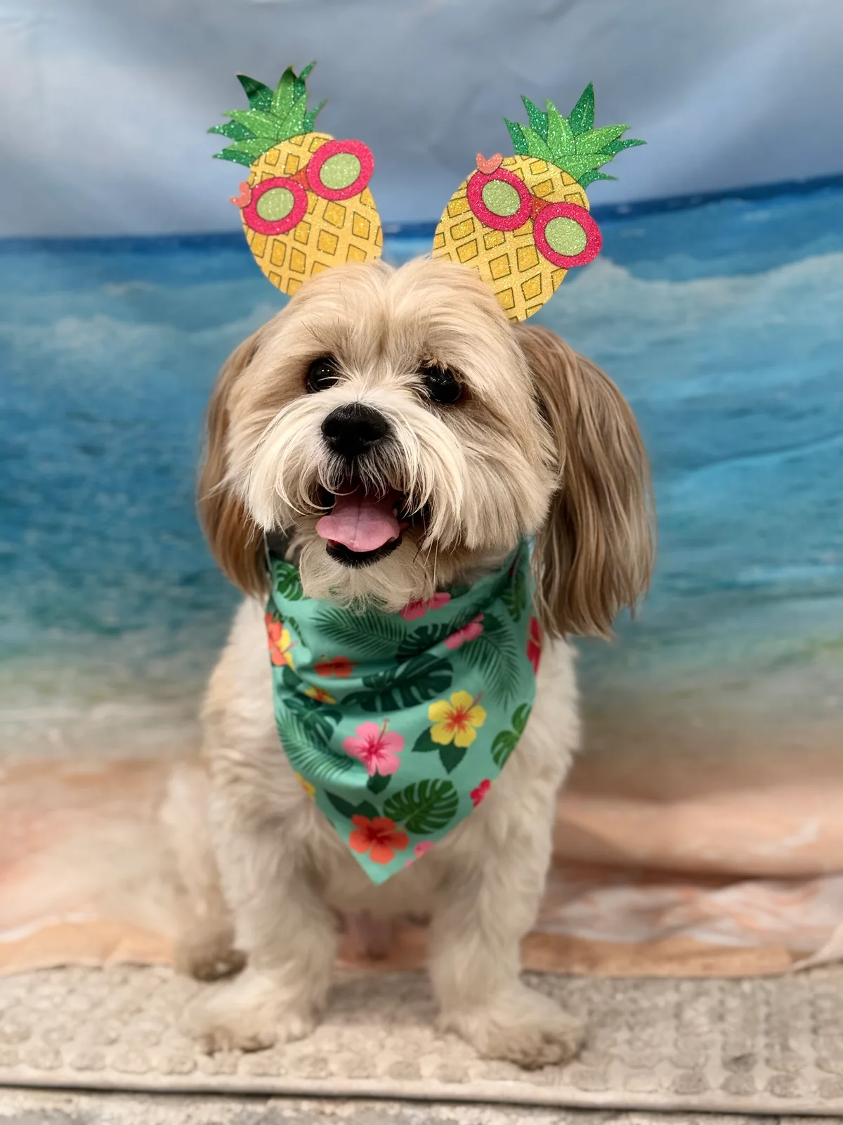 A small dog in a tropical bandana and pineapple headband for Luau Week