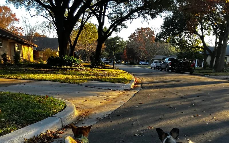 Placeholder image for a sample park listing