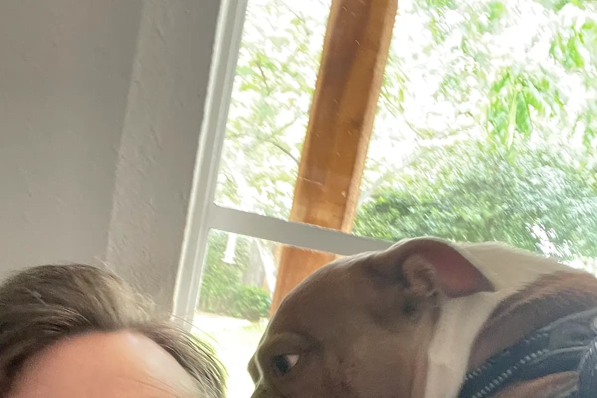 Freddie — Waco dog life