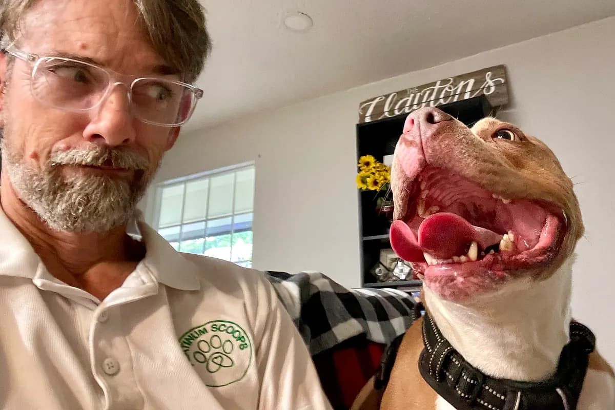 Freddie — Waco dog life