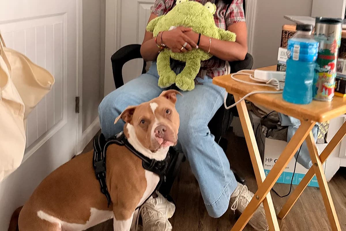 Freddie — Waco dog life