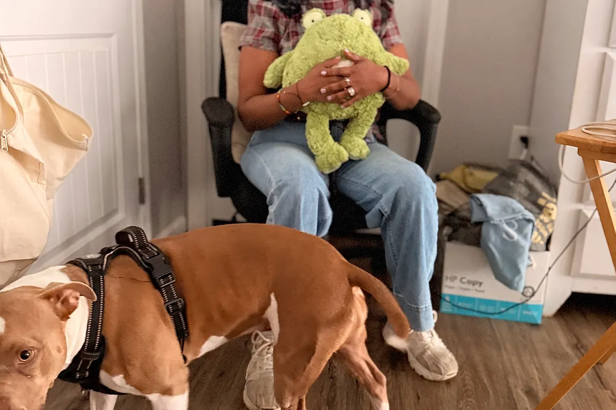 Freddie — Waco dog life