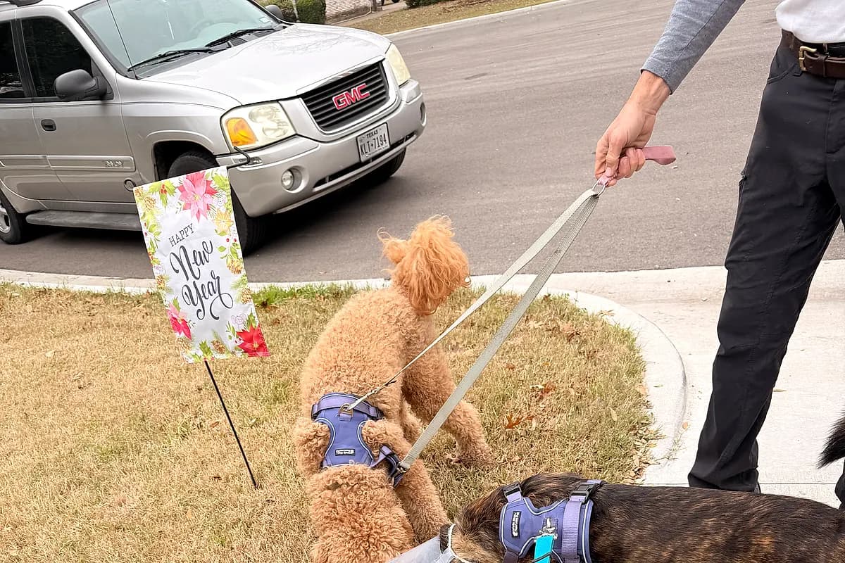 Keep Waco Wagging — IMG_2683