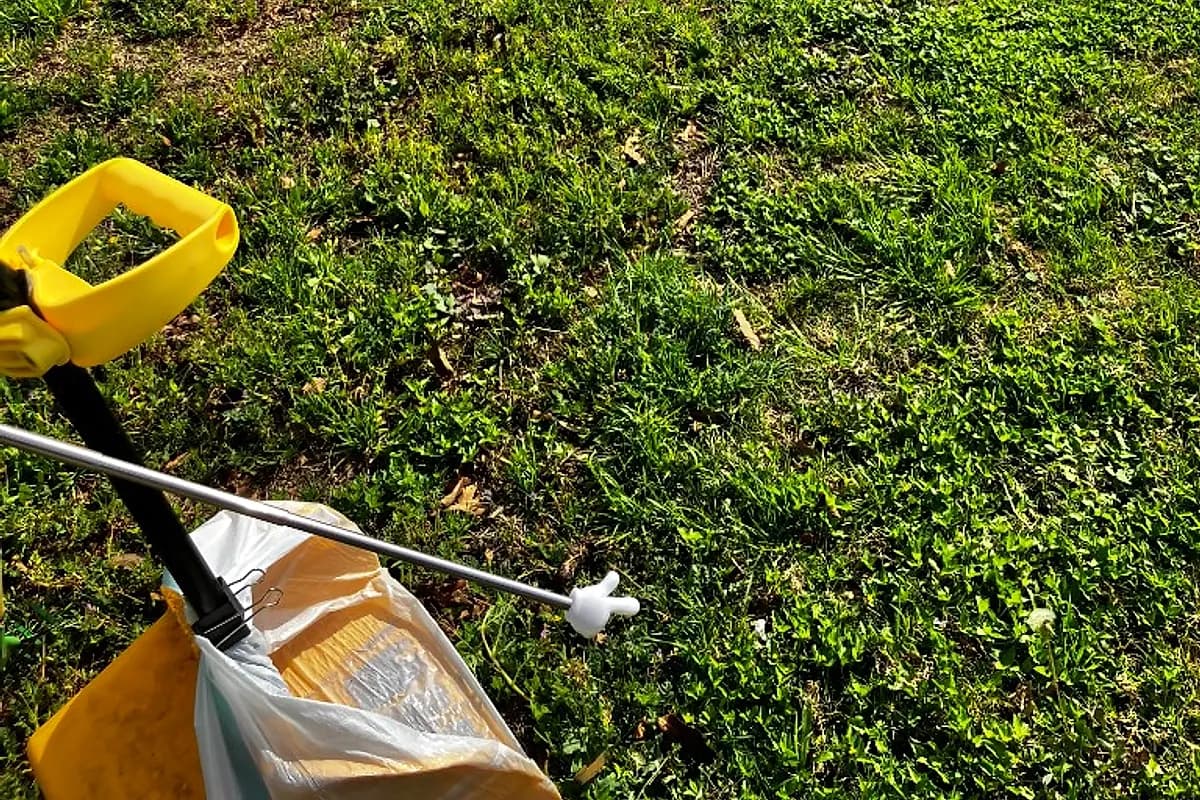 Scooping — Waco dog life