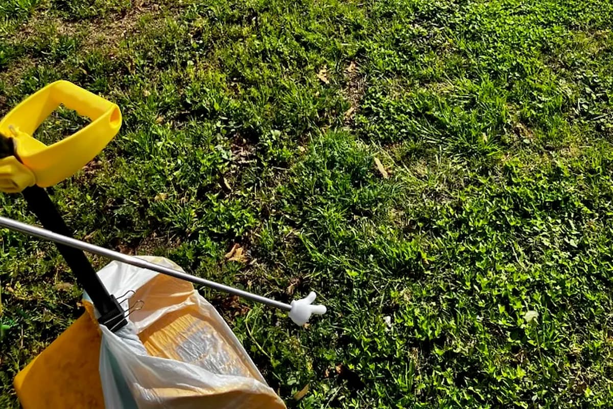 Scooping — Waco dog life