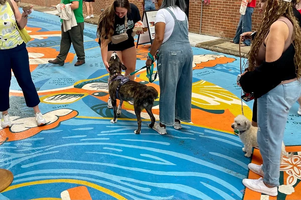 Yappy Hours — Waco dog life