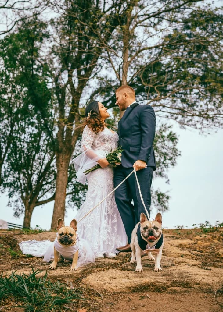 Bride and groom with their two French Bulldogs in wedding attire — one in a white tulle dress, one in a navy vest and bow tie