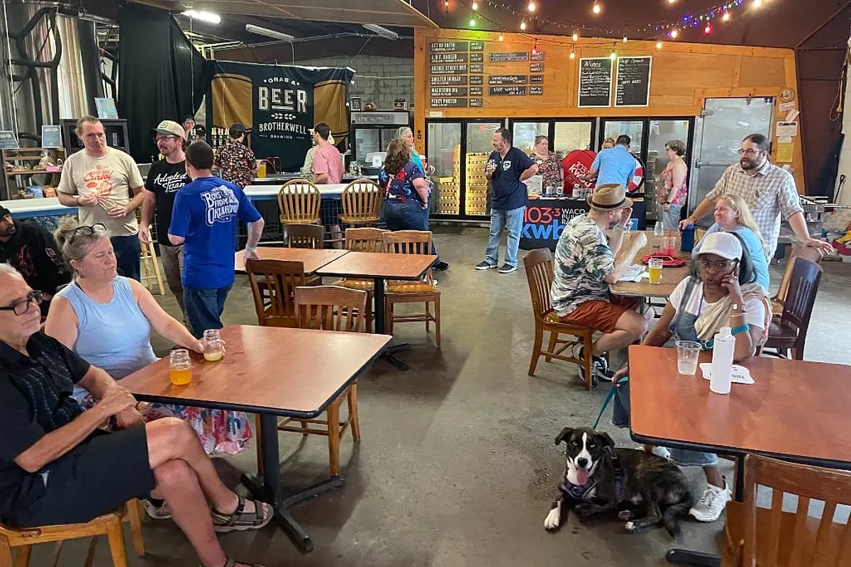 Dogs and guests at a Yappy Hour at Brotherwell Brewing in Waco