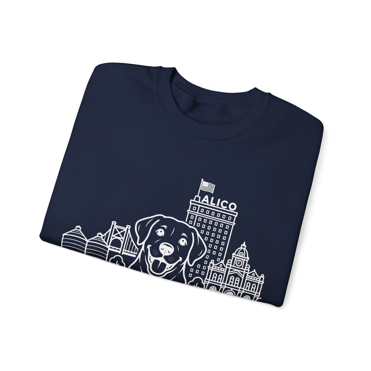 Waco Labrador Sweatshirt — Labrador and Waco skyline artwork, packaging or scale reference