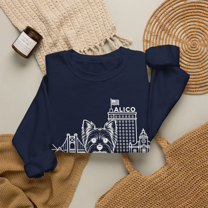 Waco Yorkie Sweatshirt — Yorkie and Waco skyline artwork, packaging or scale reference