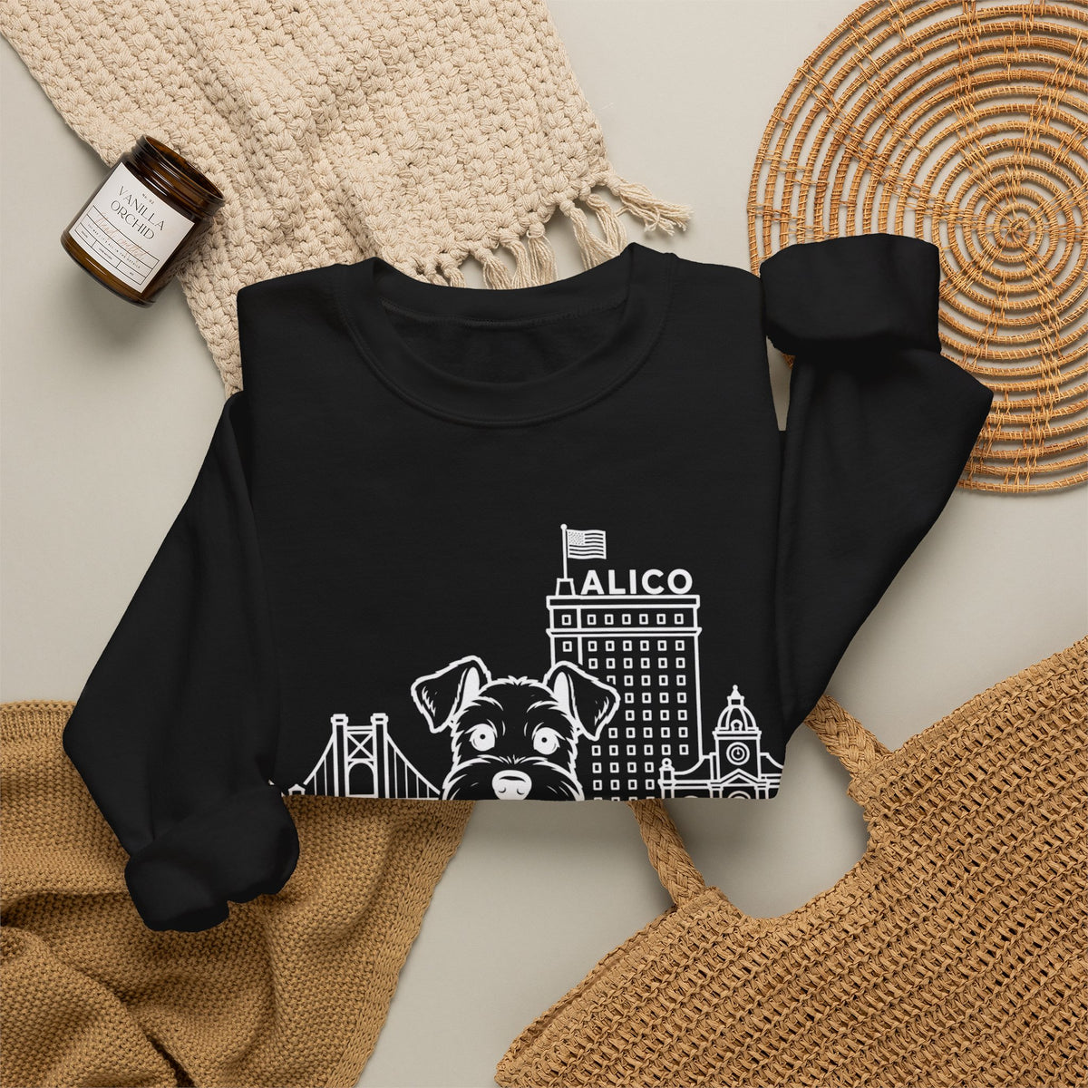 Waco Schnauzer Sweatshirt — Schnauzer and Waco skyline artwork, packaging or scale reference