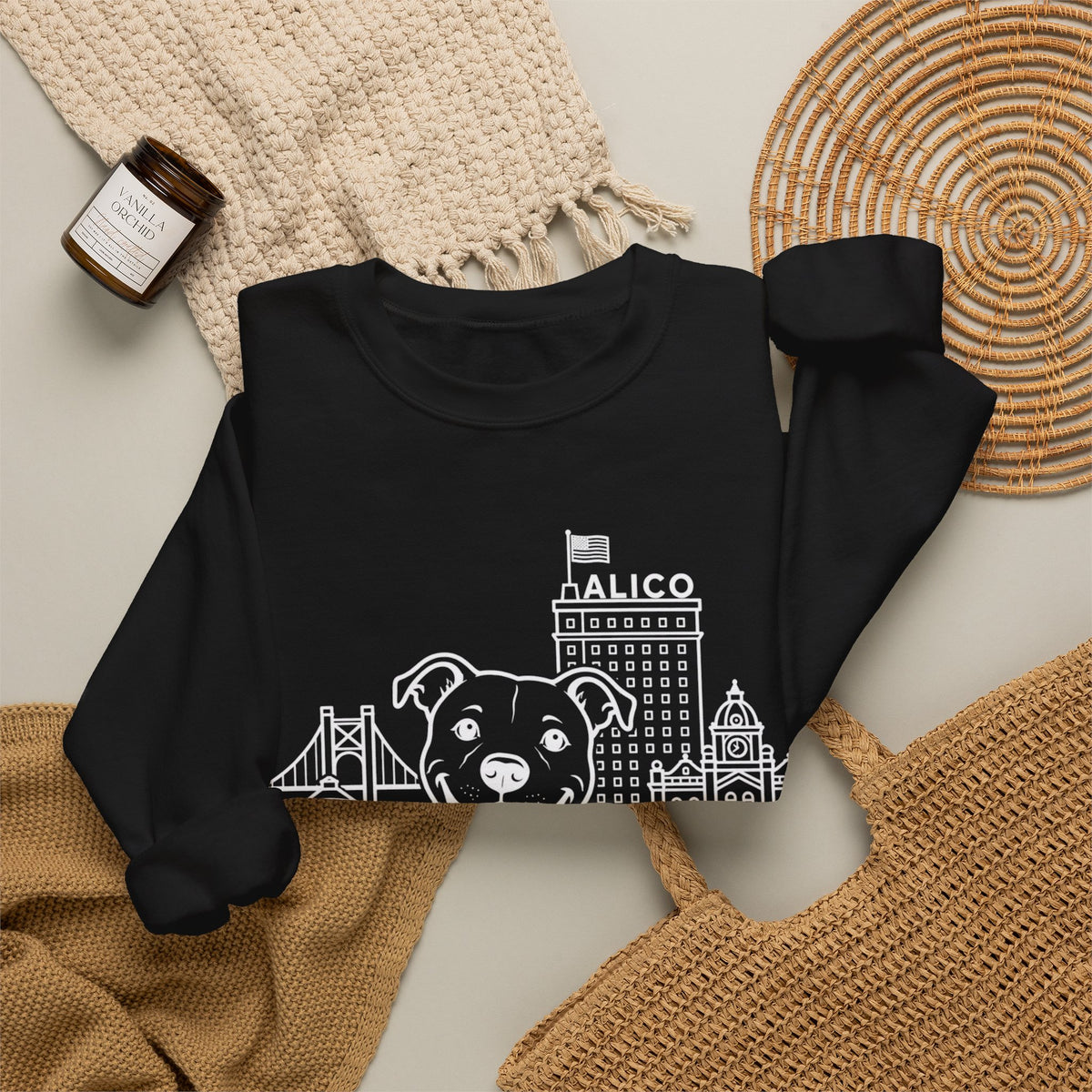 Waco Pittie Sweatshirt — Pittie and Waco skyline artwork, packaging or scale reference