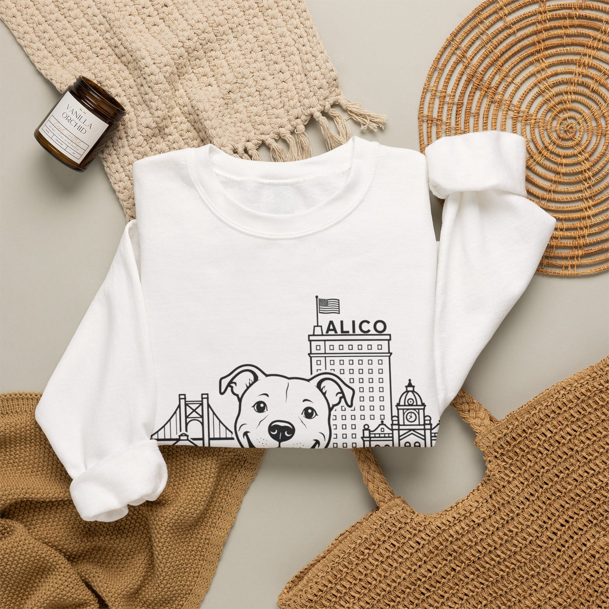 Waco Pittie Sweatshirt — Pittie and Waco skyline artwork, packaging or scale reference