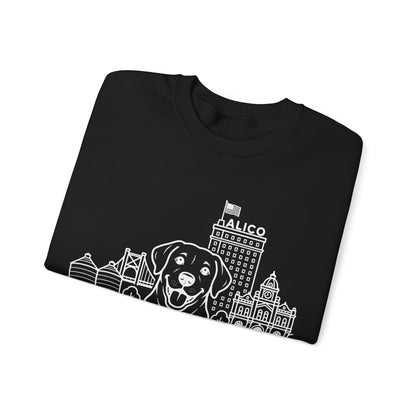 Waco Labrador Sweatshirt — Labrador and Waco skyline artwork, packaging or scale reference