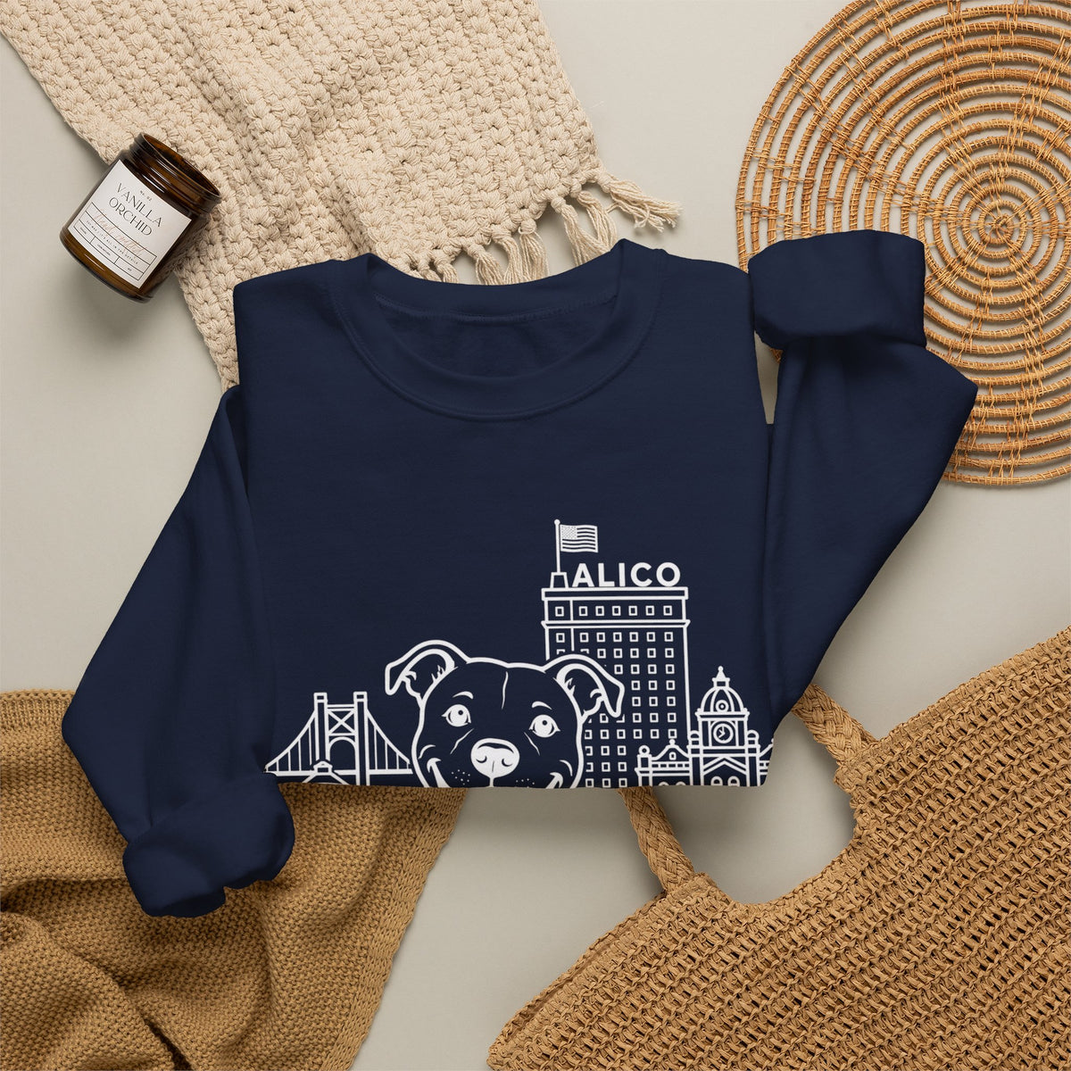 Waco Pittie Sweatshirt — Pittie and Waco skyline artwork, packaging or scale reference